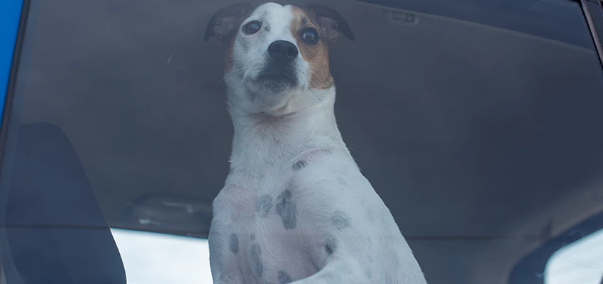 Car Lockout Solutions in Beaumont, California